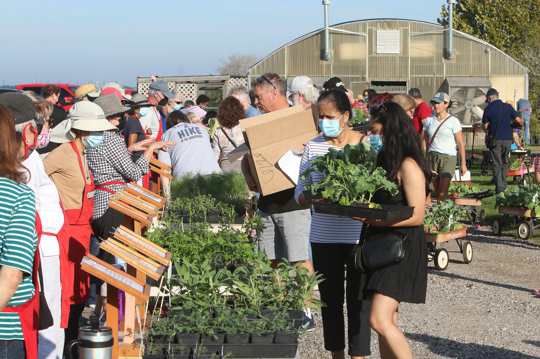 2021 Herb & Vegetable Plant Sale